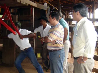 Trabalho — Brincagem De Bezerros Com Visita Jacto Fazenda Caramuru