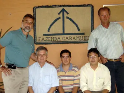 Trabalho — Brincagem De Bezerros Com Visita Jacto