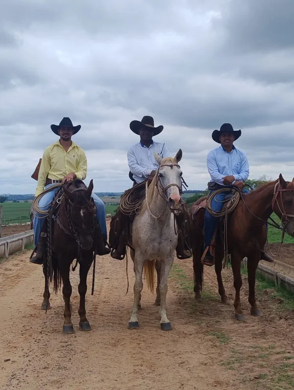 Colaboradores — Cavaleiros Fazenda 01
