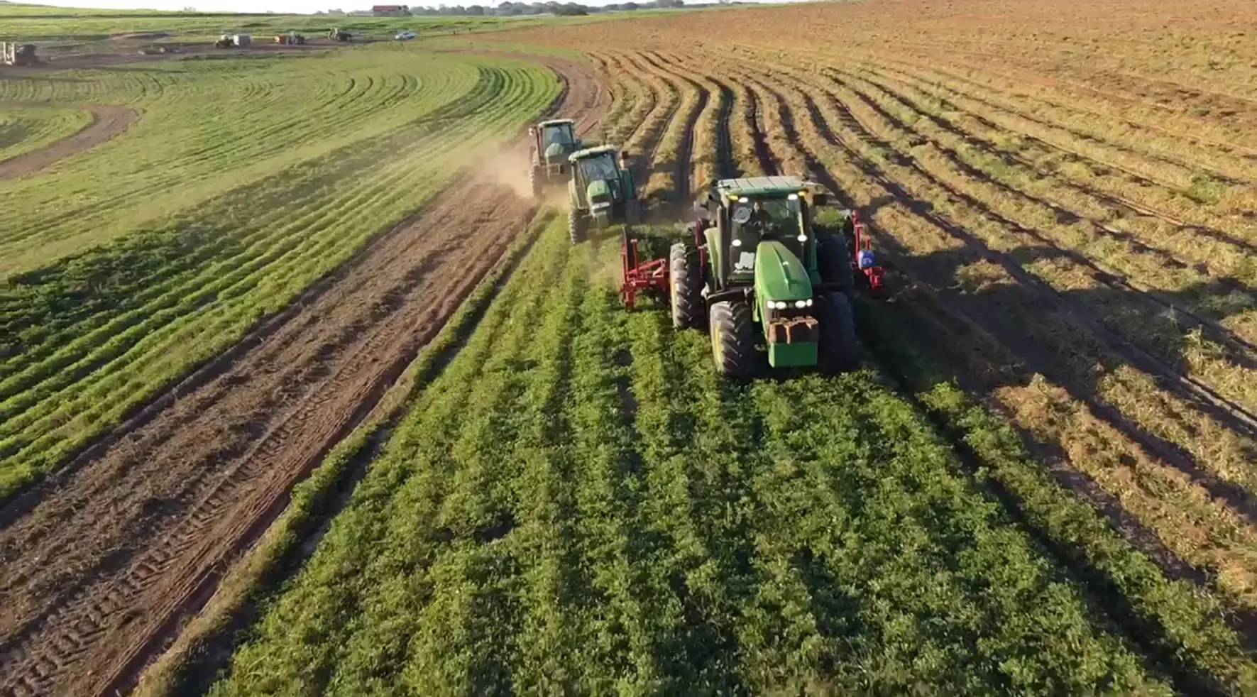 Plantação de milho na Fazenda Caramuru ao pôr do sol.