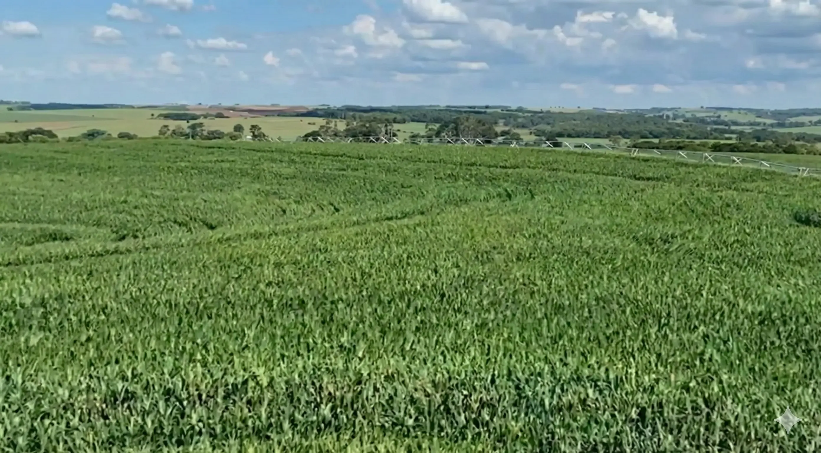 Galeria de fotos da Fazenda Caramuru