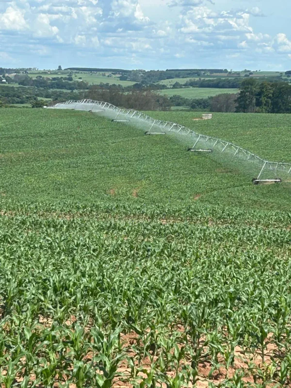 Estrutura — Plantacao