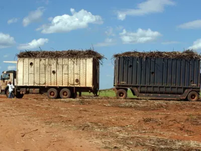 Agricultura — Transporte Cana De Acucar Caminhao Carregado