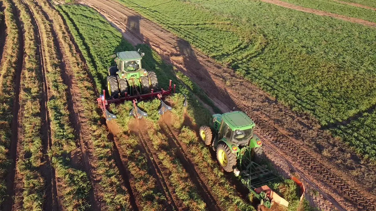 Prévia do vídeo 12