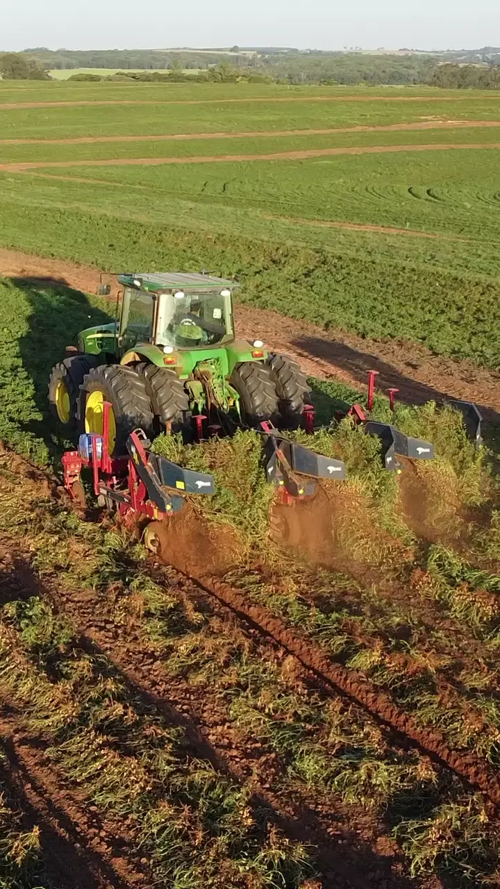 Prévia do vídeo 14