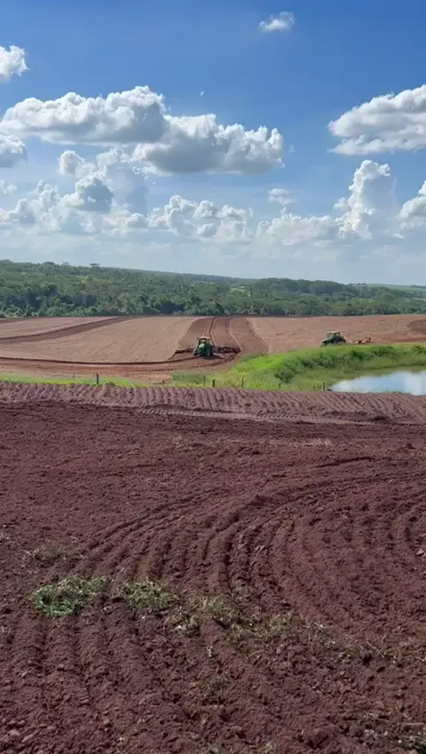 Prévia do vídeo 15