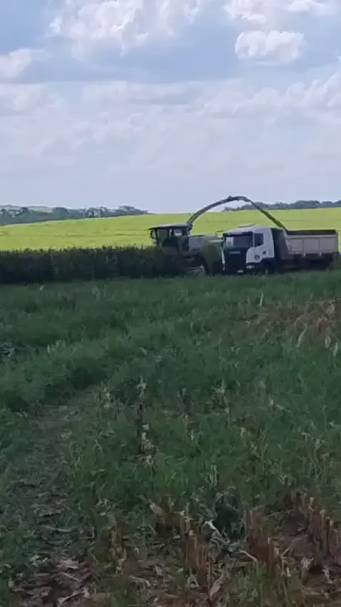 Prévia do vídeo 16