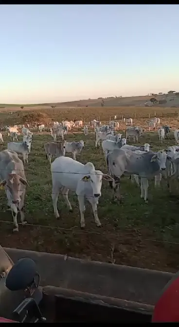 Prévia do vídeo 13