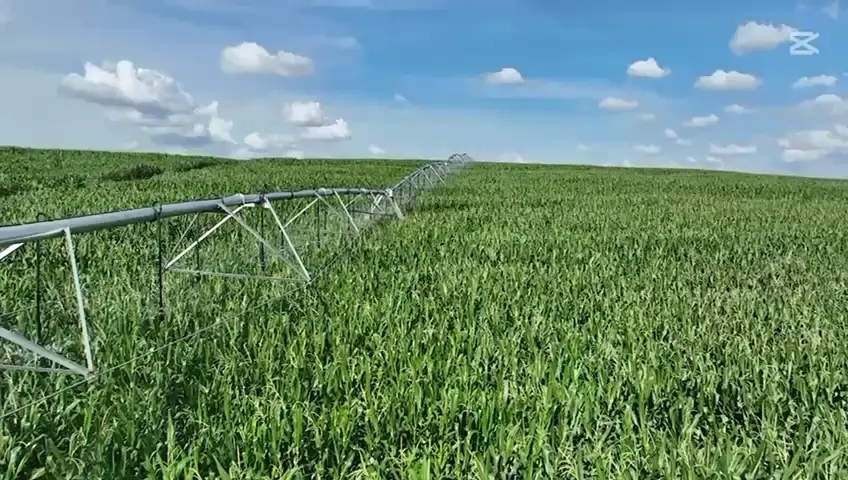 Prévia do vídeo 15