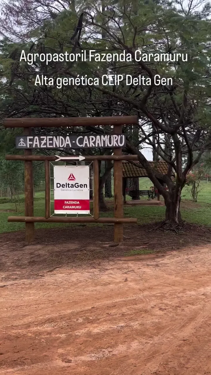 Prévia do vídeo 1